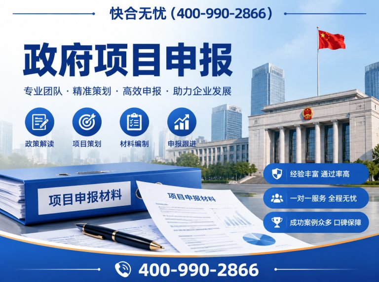 山东政府项目申报展示图